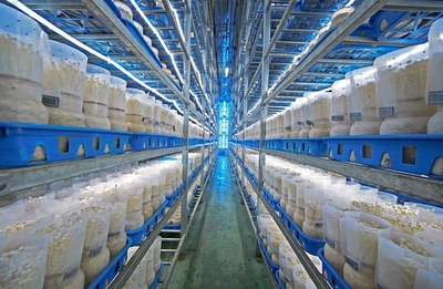 福建省首家農(nóng)業(yè)產(chǎn)業(yè)研究院落戶廈門(mén)翔安 專注生物有機(jī)肥料研發(fā)助力綠色農(nóng)業(yè)