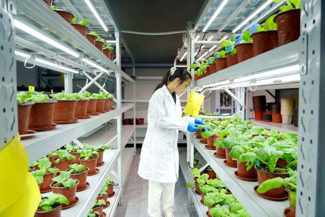 港北區(qū) 循環(huán)產(chǎn)業(yè)鏈賦能，打造有機(jī)無(wú)機(jī)‘糖蜜肥’生物有機(jī)肥新篇章